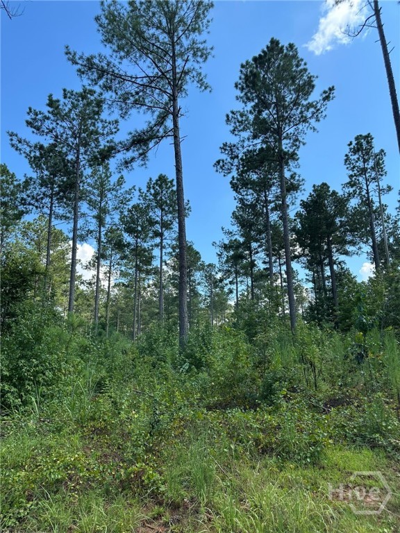 0 Fears Rutledge, GA 30663 - Photo 6 of 35