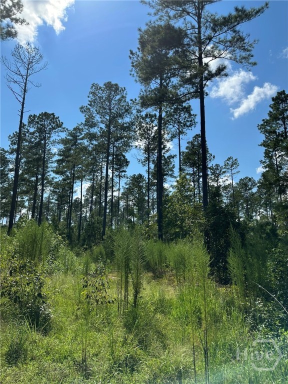 0 Fears Rutledge, GA 30663 - Photo 7 of 35