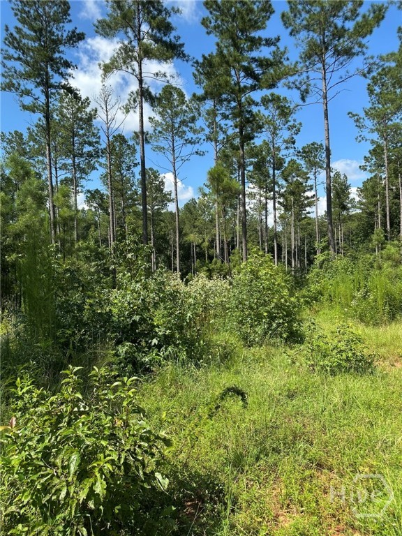 0 Fears Rutledge, GA 30663 - Photo 8 of 35