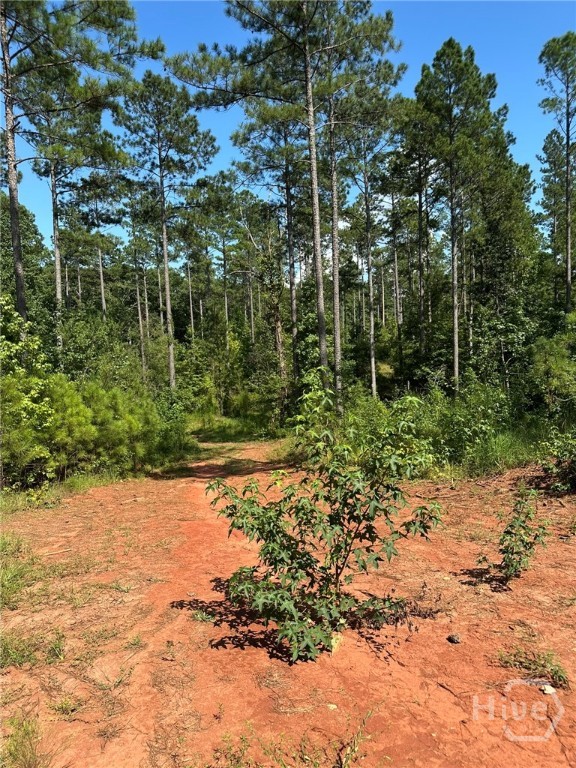 0 Fears Rutledge, GA 30663 - Photo 9 of 35