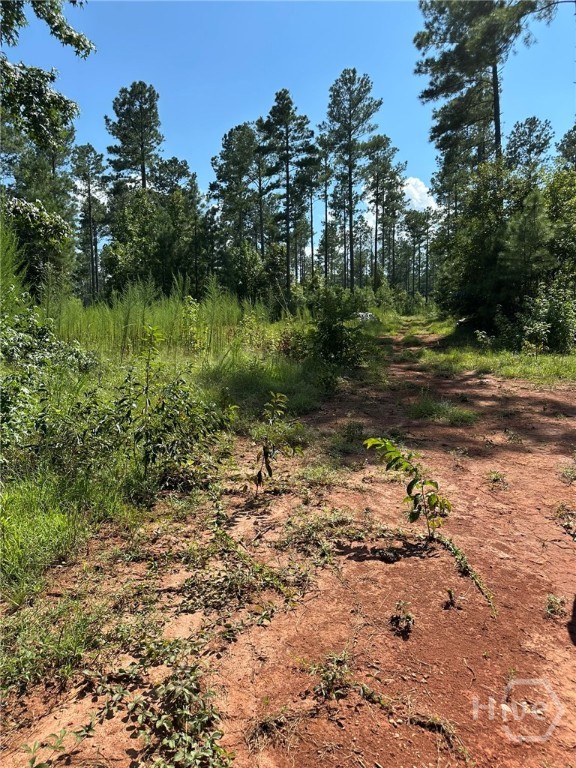 0 Fears Rutledge, GA 30663 - Photo 10 of 35