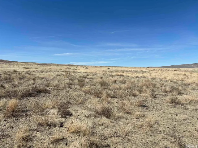 a view of beach and ocean