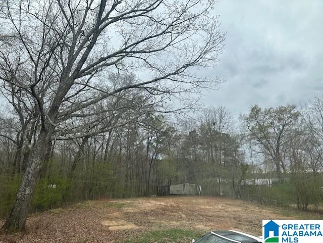 11086 Hickman Chapel Road West Blocton, AL 35184 - Photo 7 of 8
