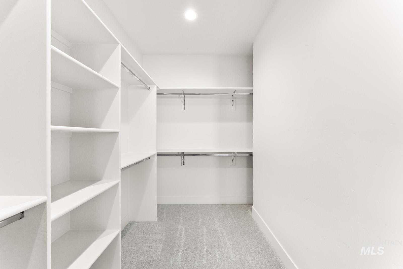 13344 North Spring Creek Way Boise, ID 83714 - Photo 19 of 39 Walk in closet with light colored carpet