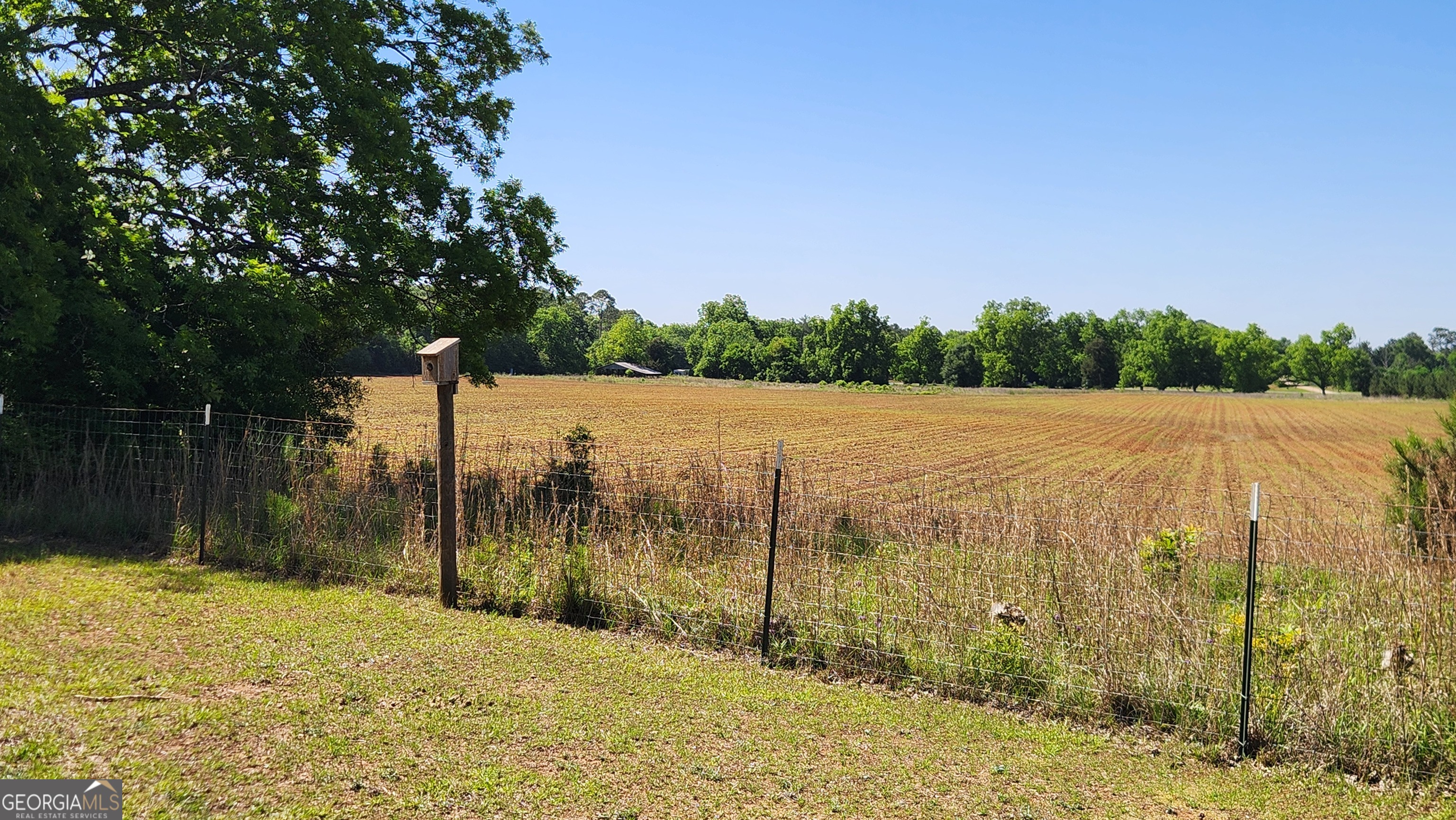 246 Melton Mill Road Dawson, GA 39842 - Photo 68 of 78