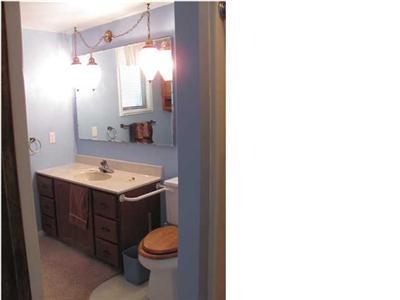 561 Spring Grove Road Stanton, MI 48888 - Photo 10 of 13 Additional Photo