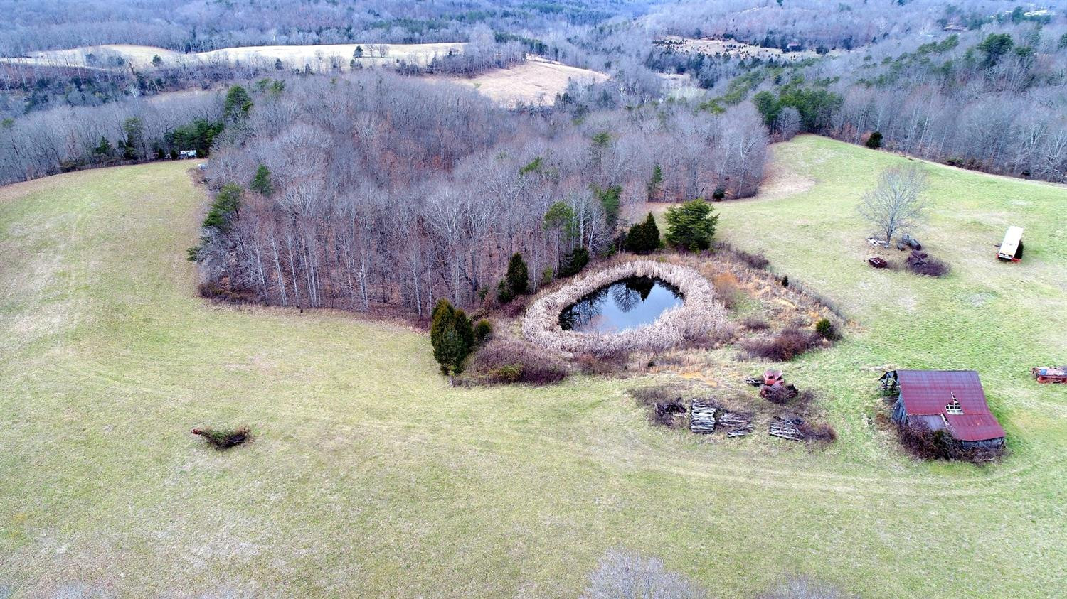 146 Opossum Run Road Irvine, KY 40336 - Photo 14 of 64 The woods and pond give your livestock a