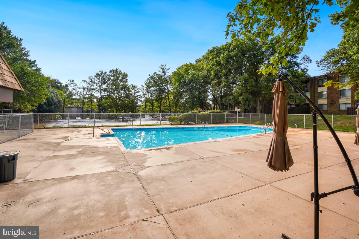 8475 Greenbelt Road Greenbelt, MD 20770 - Photo 31 of 32 Community Pool
