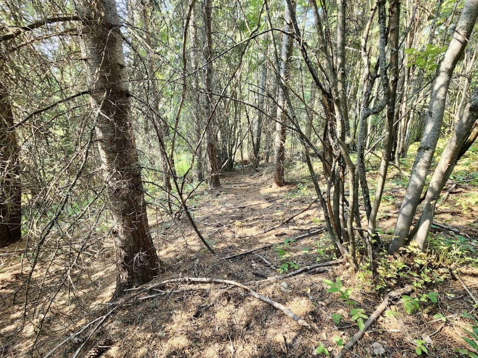 1700 Hershaw Road Newport, WA 99156 - Photo 16 of 40