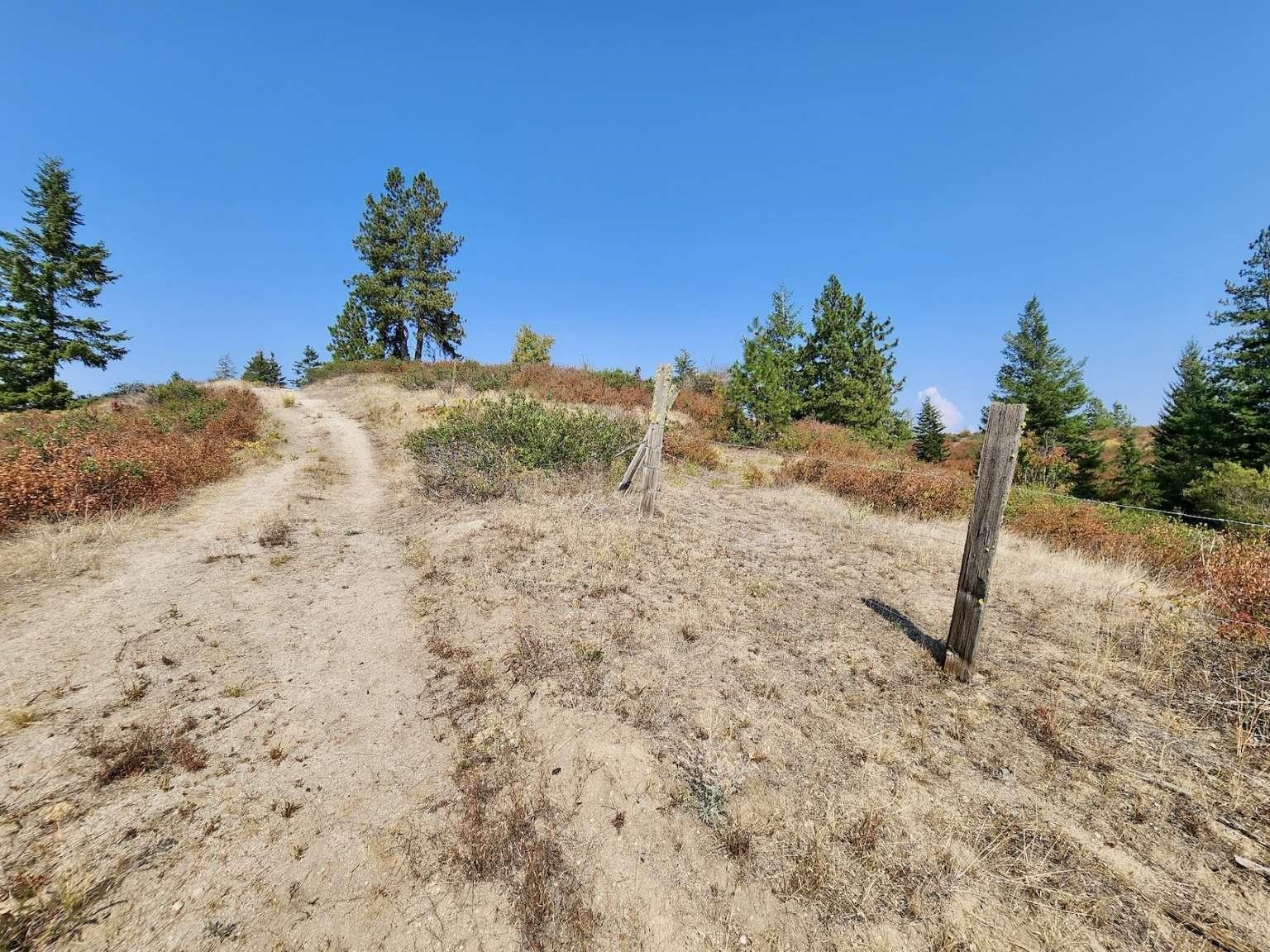 1700 Hershaw Road Newport, WA 99156 - Photo 24 of 40