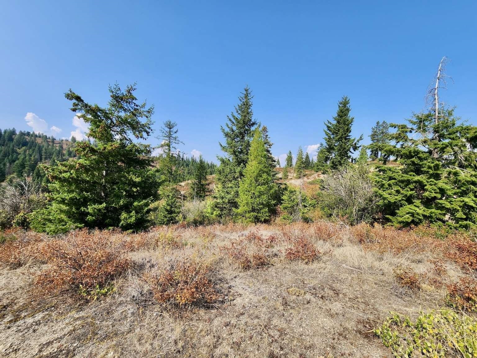 1700 Hershaw Road Newport, WA 99156 - Photo 28 of 40
