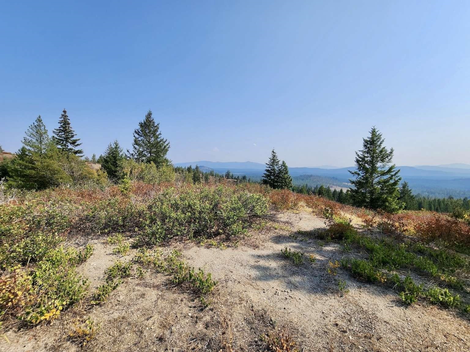 1700 Hershaw Road Newport, WA 99156 - Photo 29 of 40
