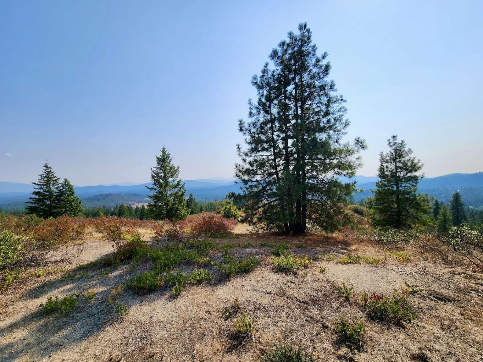 1700 Hershaw Road Newport, WA 99156 - Photo 30 of 40