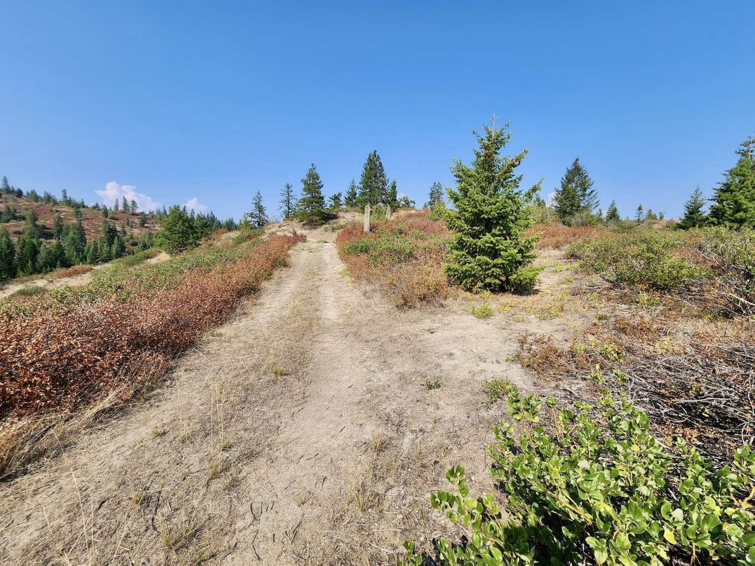 1700 Hershaw Road Newport, WA 99156 - Photo 32 of 40