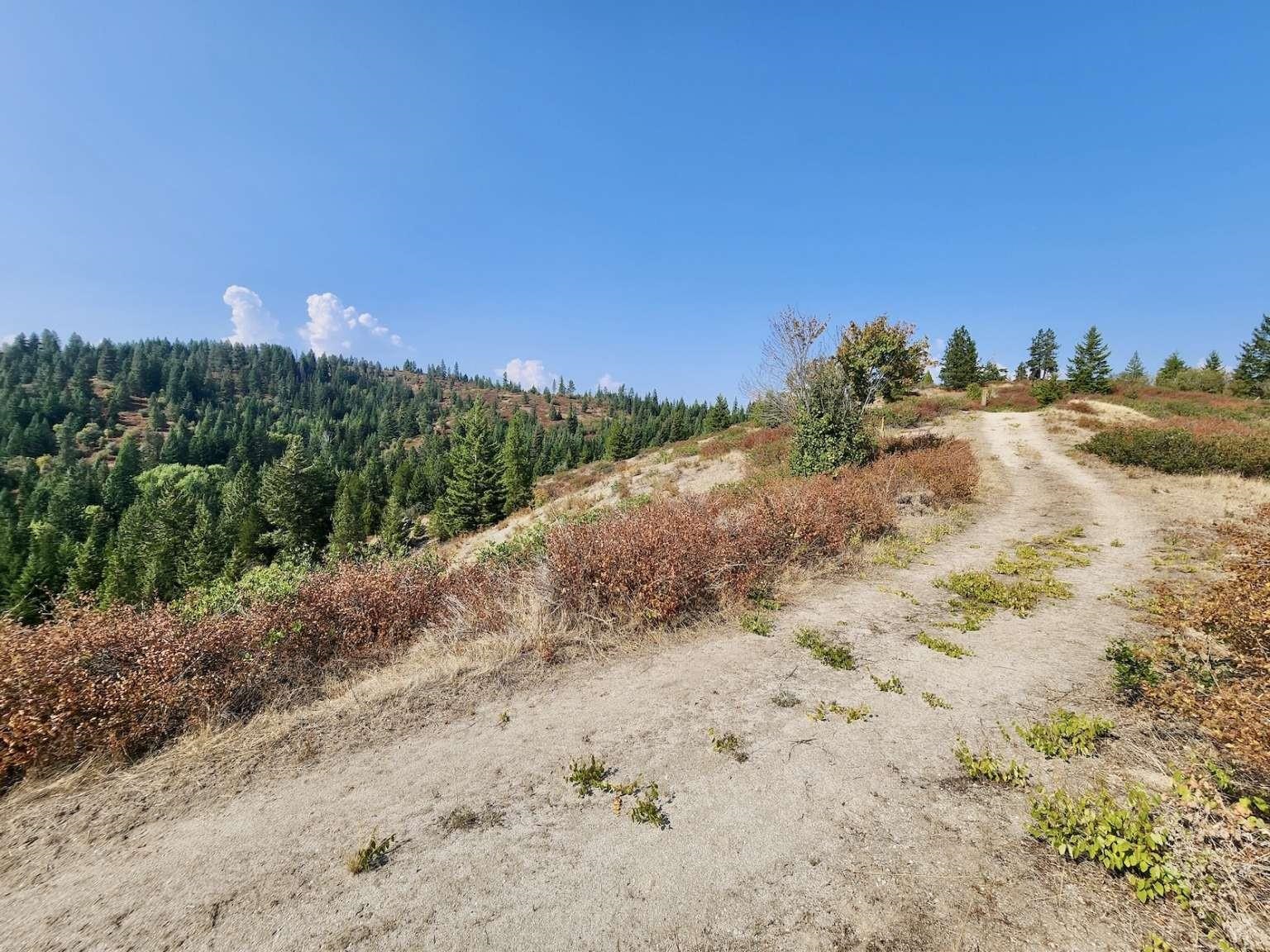 1700 Hershaw Road Newport, WA 99156 - Photo 33 of 40