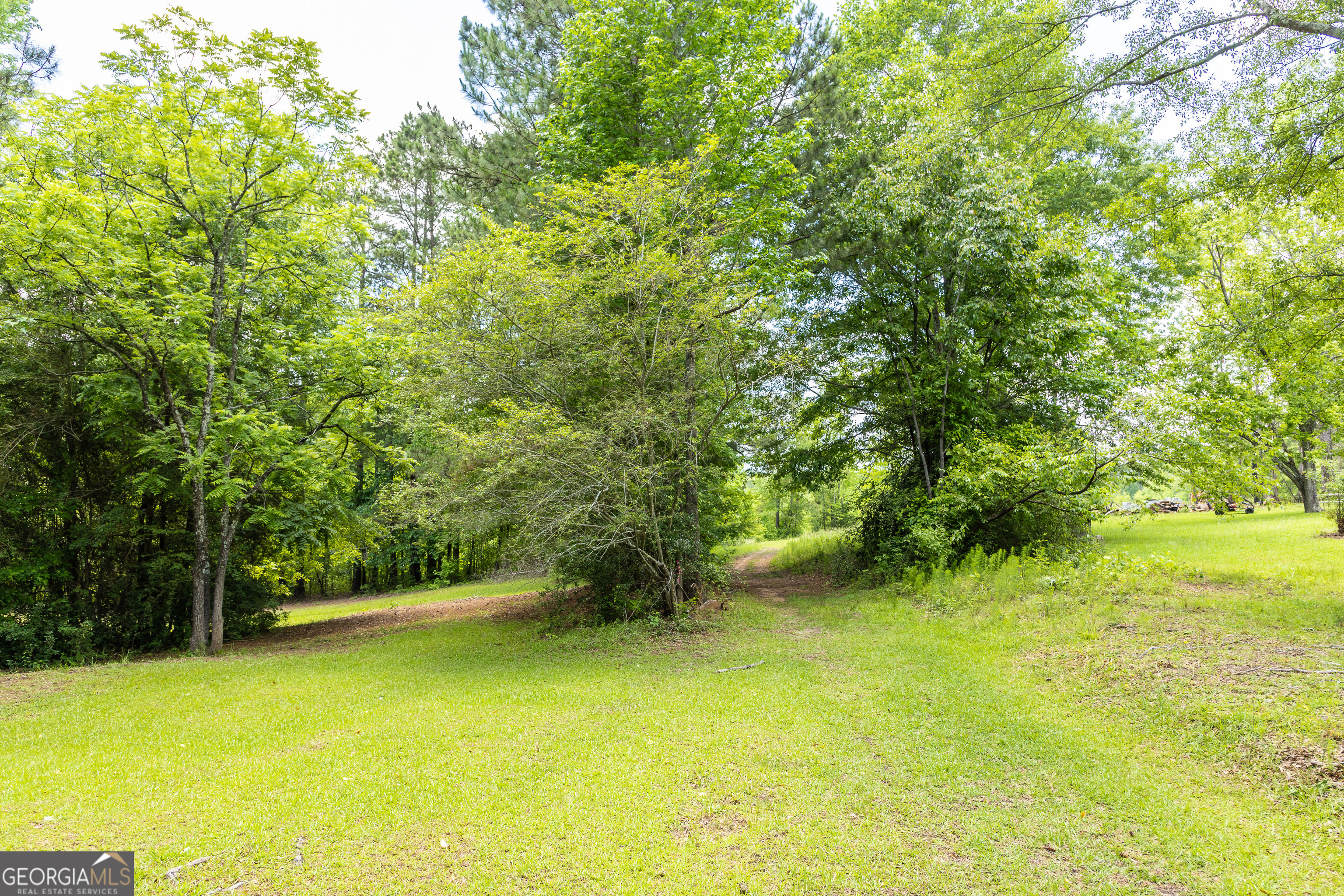 655 White Road Thomaston, GA 30286 - Photo 9 of 41
