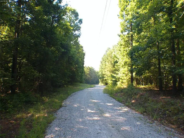 a view of a road with a yard
