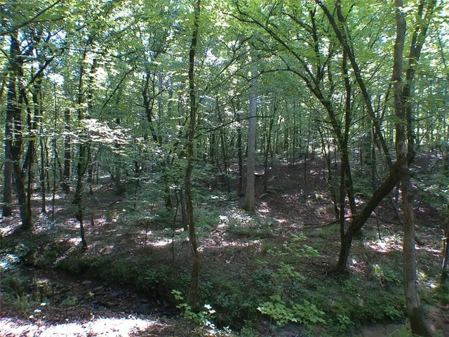 a view of outdoor space with lots of trees