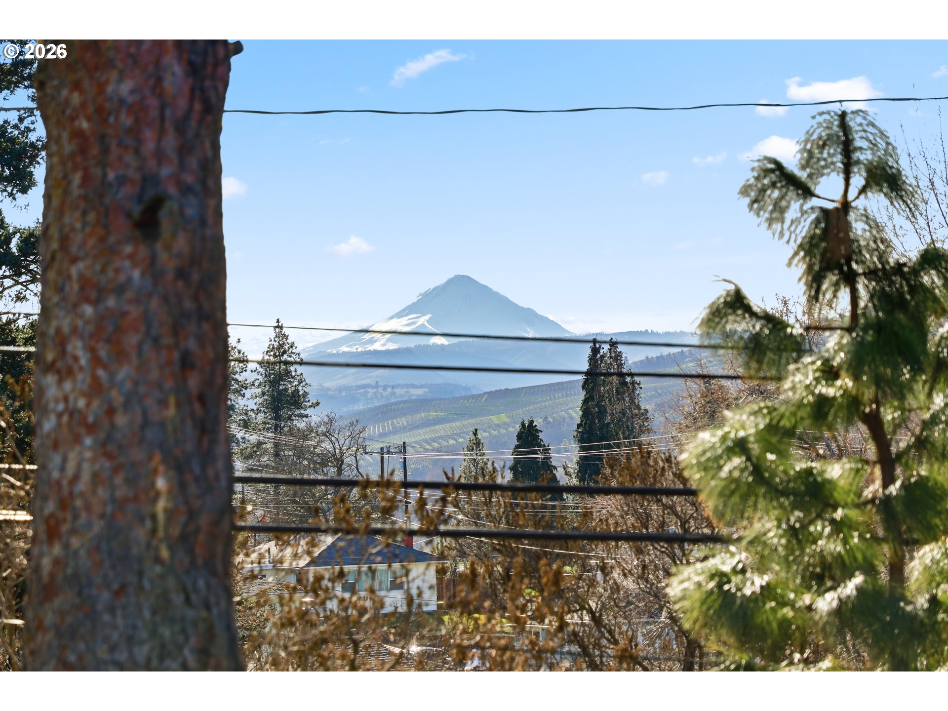 1707 Bridge Street The Dalles, OR 97058 - Photo 40 of 41 a view of outdoor space and yard