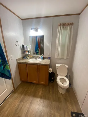 a bathroom with a sink mirror vanity and toilet