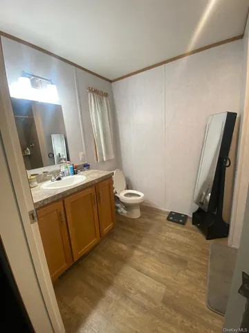 a bathroom with a sink a toilet a mirror and vanity