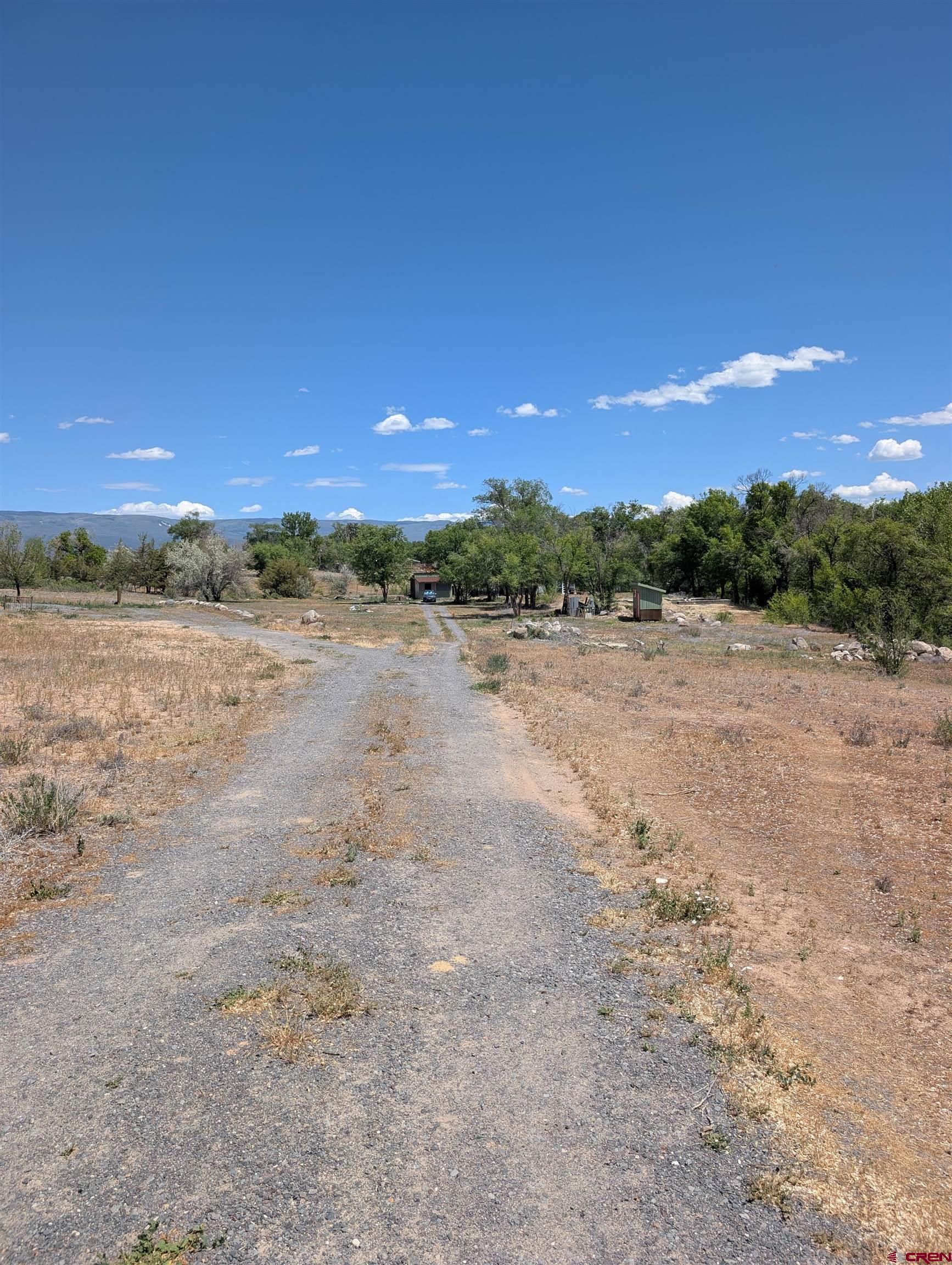 20885 Marble Road Eckert, CO 81418 - Photo 14 of 15