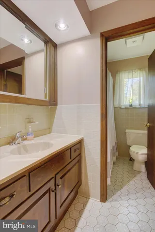 a bathroom with a sink a toilet and a mirror