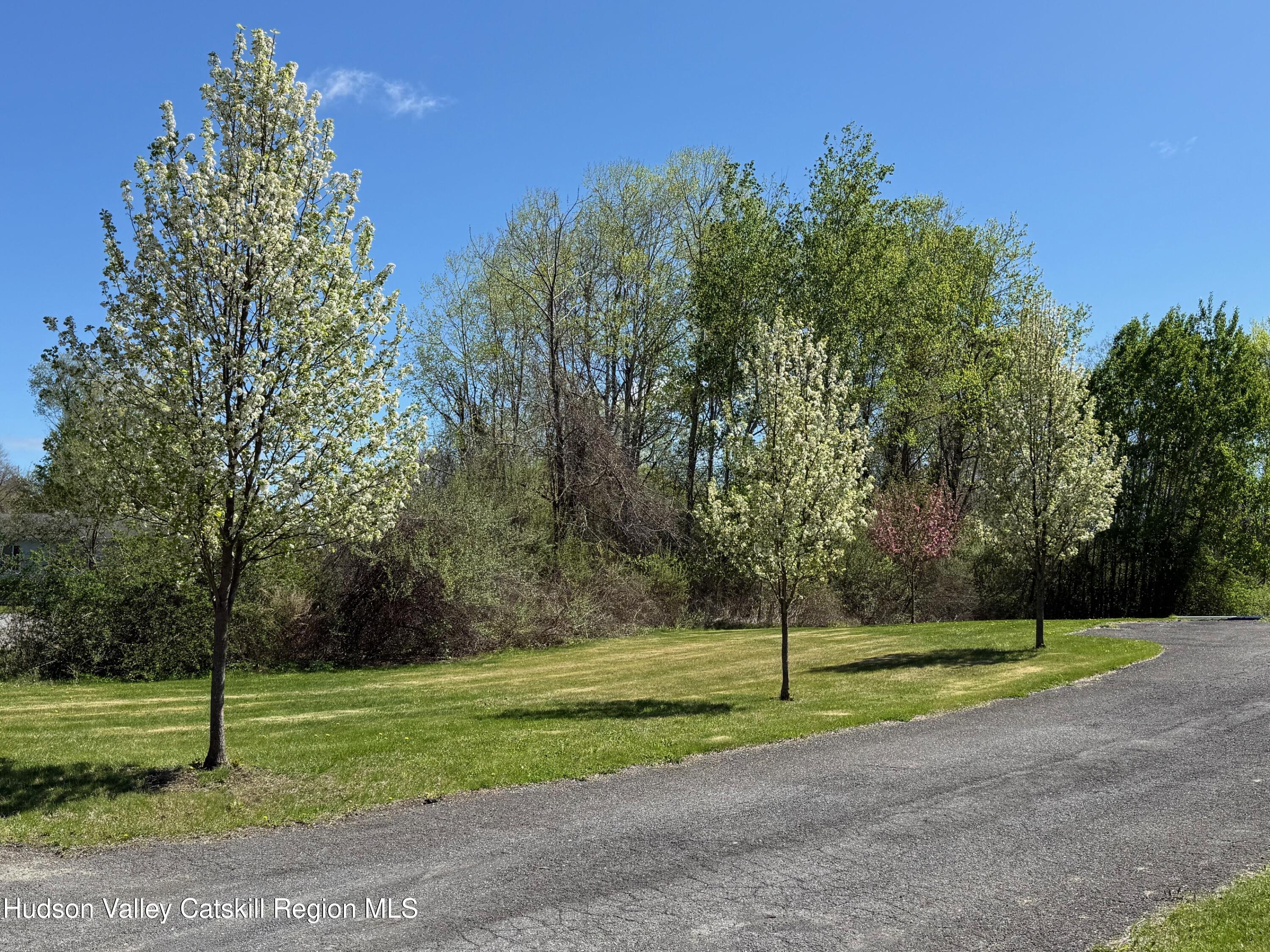 24 Mountain View Road Amenia, NY 12501 - Photo 11 of 13 a view of a park