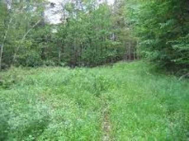 0 Woods Road Middleburgh, NY 12122 - Photo 1 of 7 Photo 1