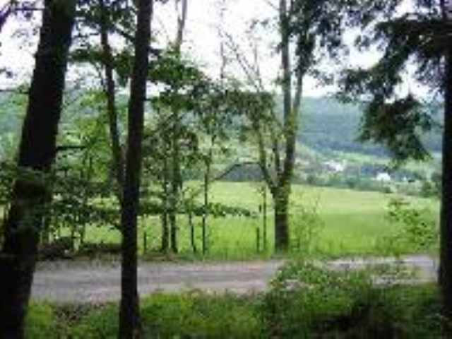 0 Woods Road Middleburgh, NY 12122 - Photo 2 of 7 Photo 2