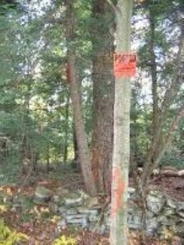 0 Woods Road Middleburgh, NY 12122 - Photo 6 of 7 Photo 7