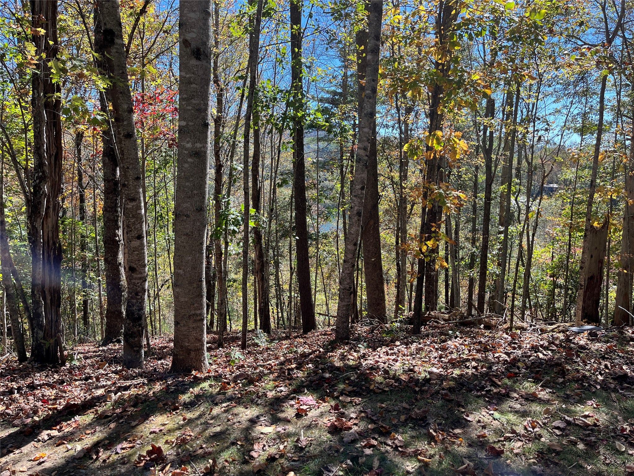 Lot #4 Rendezvous Ridge Cashiers, NC 28717 - Photo 5 of 7 Gallery Image 5