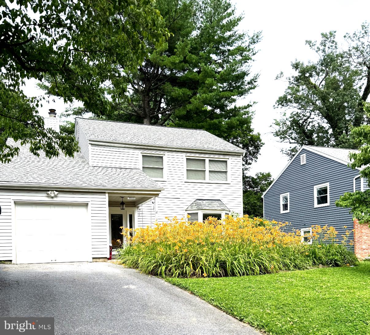 9013 2nd Avenue Silver Spring, MD 20910 - Photo 3 of 56 Gorgeous Lillies in Spring!