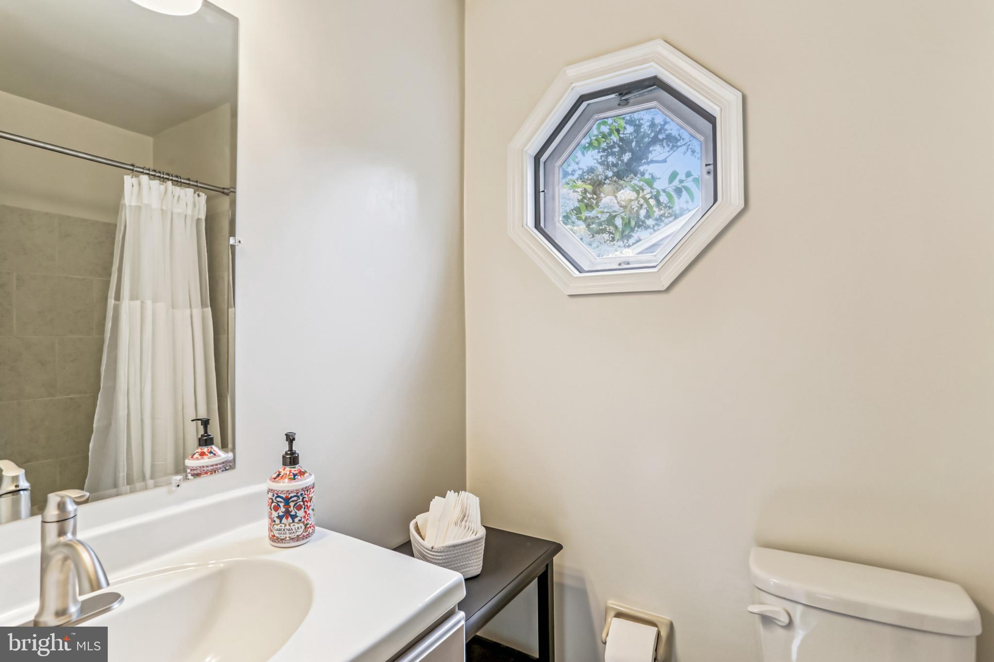 9013 2nd Avenue Silver Spring, MD 20910 - Photo 45 of 56 a bathroom with a sink a toilet and a mirror