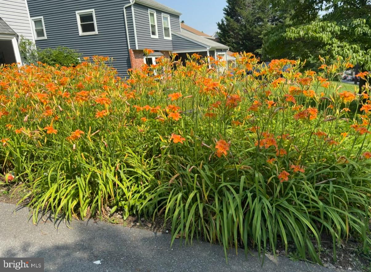 9013 2nd Avenue Silver Spring, MD 20910 - Photo 53 of 56 a view of a house with a tree