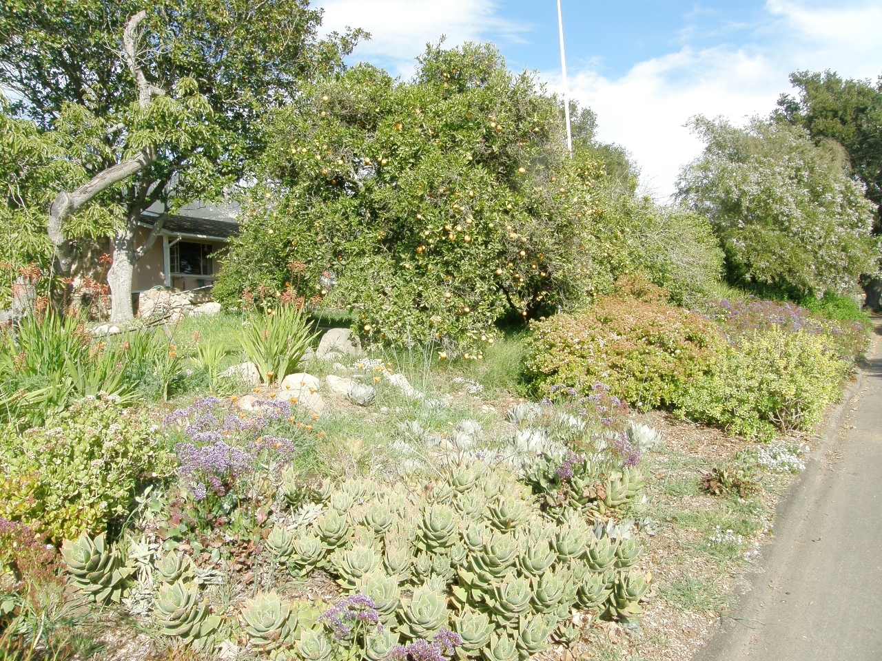 2222 Feather Hill Road Santa Barbara, CA 93108 - Photo 2 of 18 a backyard of a house with a yard and garage