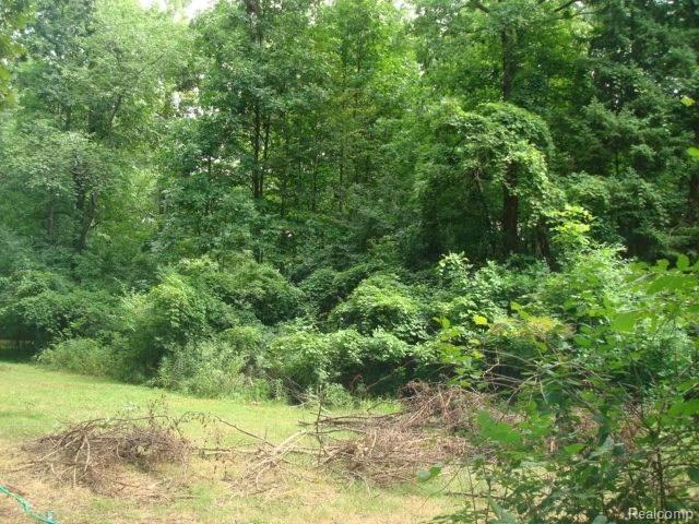 3305 Devondale Road Rochester Hills, MI 48309 - Photo 10 of 11