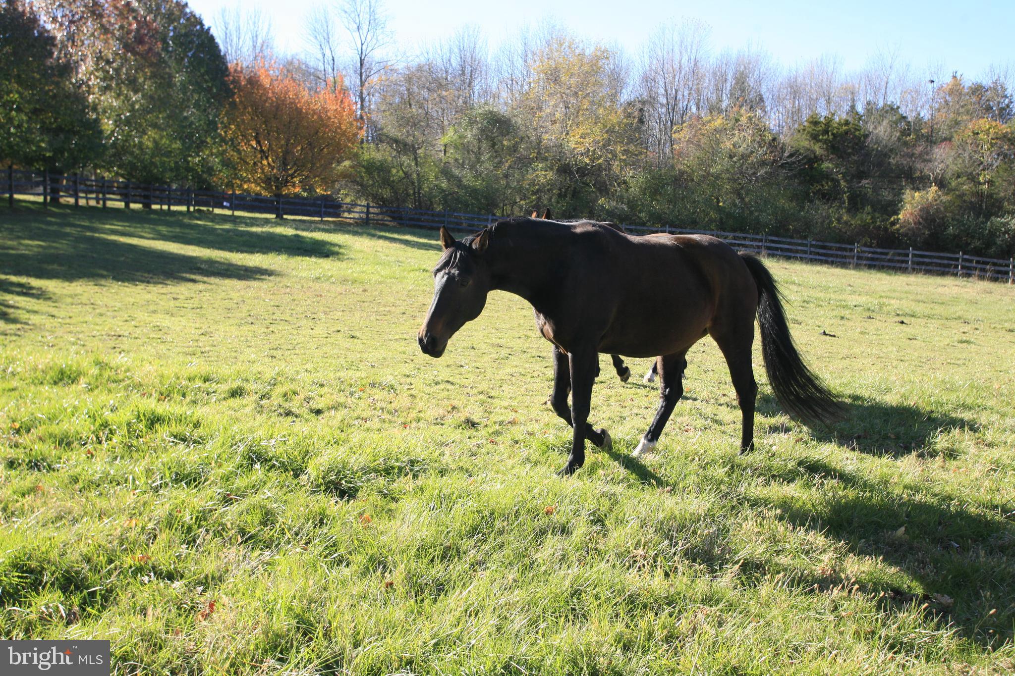 172 Pleasant Valley Road Titusville, NJ 08560 - Photo 38 of 55 Bring Your Horses Adjacent to Baldpate Mt. Park