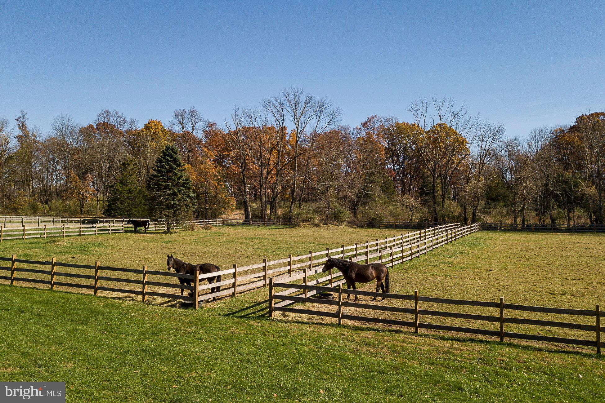 172 Pleasant Valley Road Titusville, NJ 08560 - Photo 40 of 55 Pastures Have New Fencing