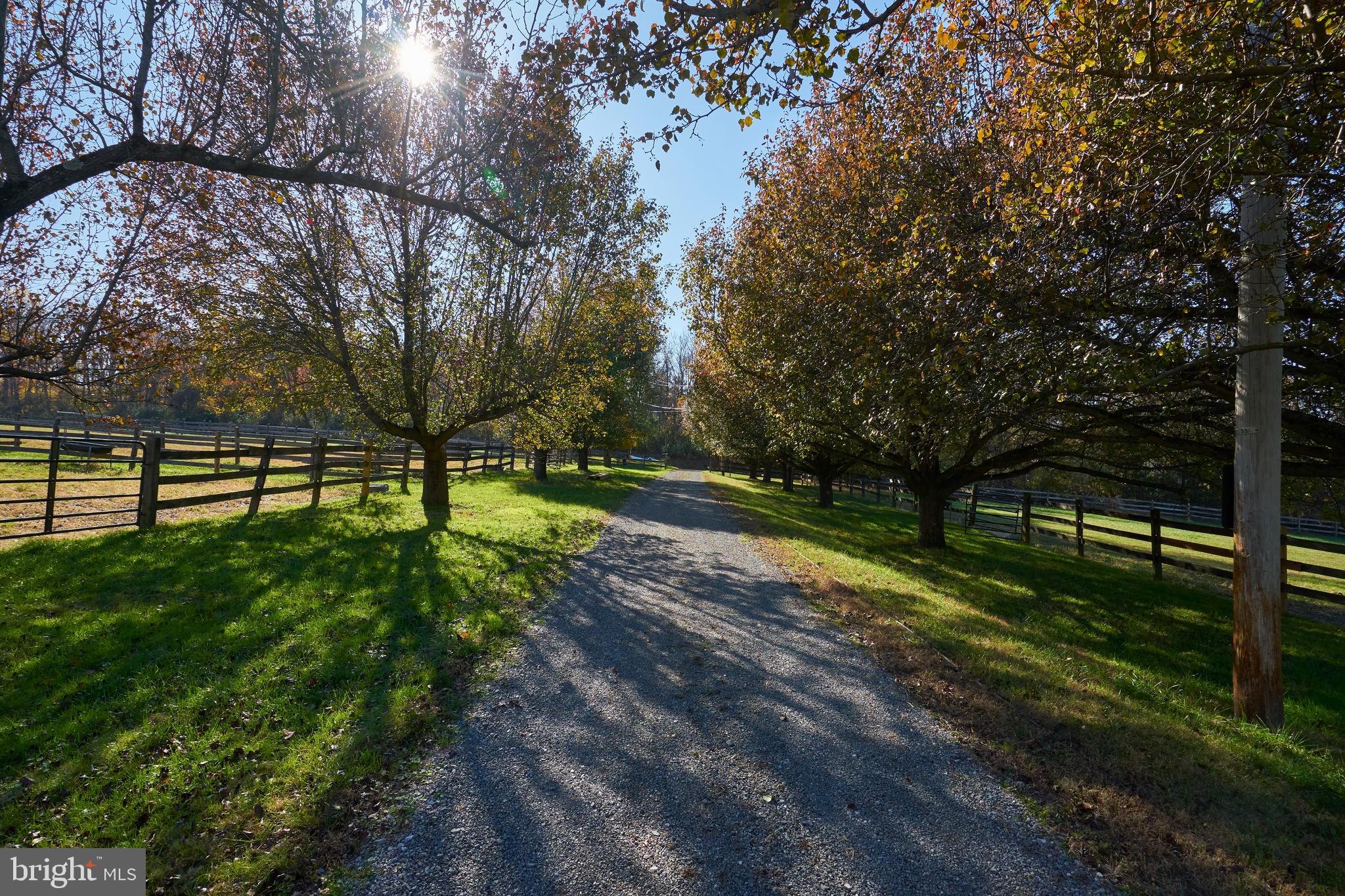 172 Pleasant Valley Road Titusville, NJ 08560 - Photo 48 of 55 A Long Private Tree Lined Driveway