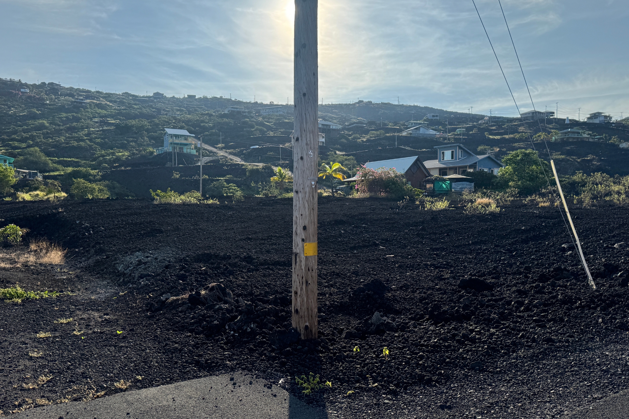 88-1546 Ehiku Avenue Captain Cook, HI 96704 - Photo 11 of 14 a view of a city with tall tree