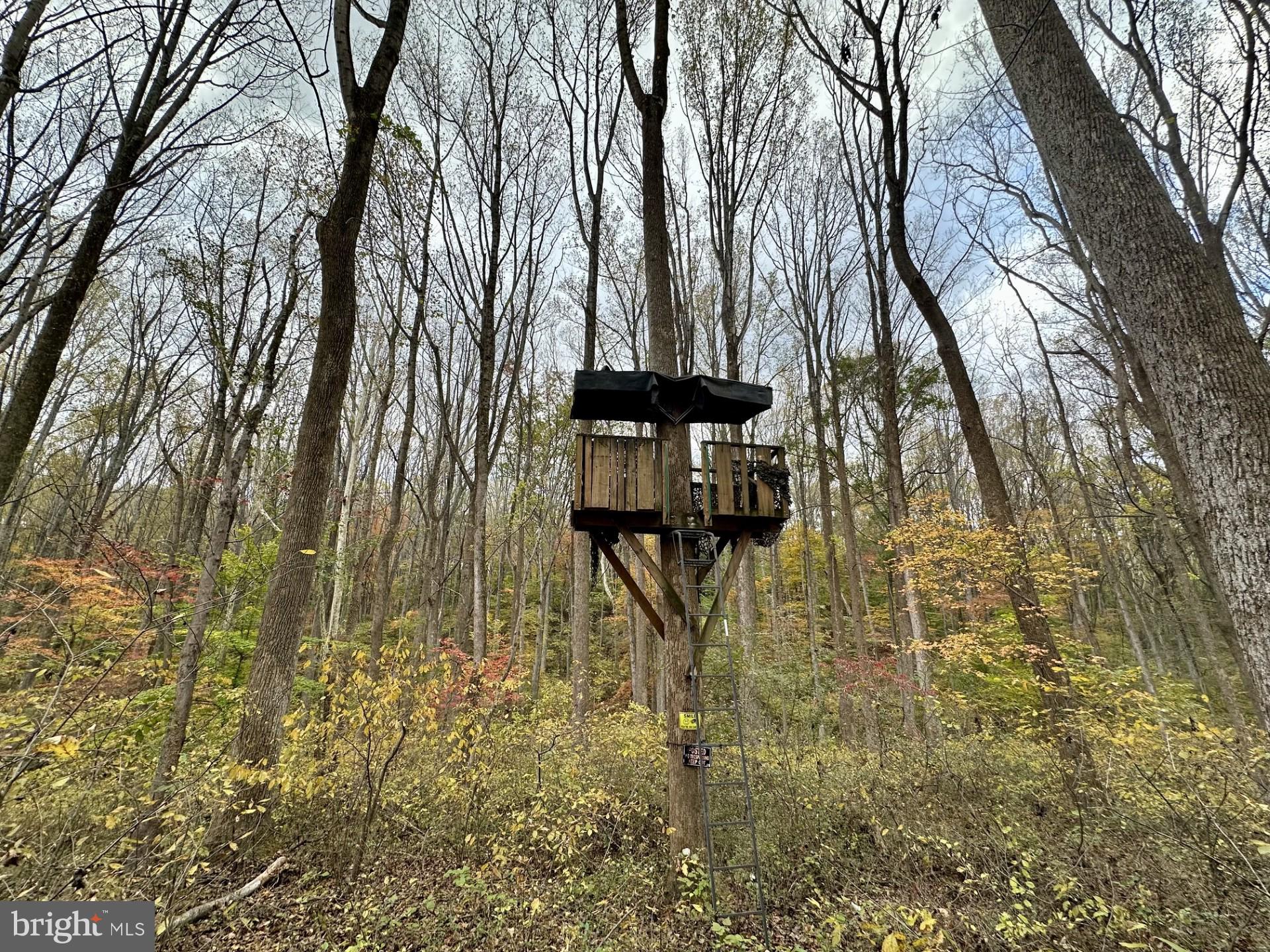 7049 Mink Hollow Road Highland, MD 20777 - Photo 63 of 72 One of two tree stands