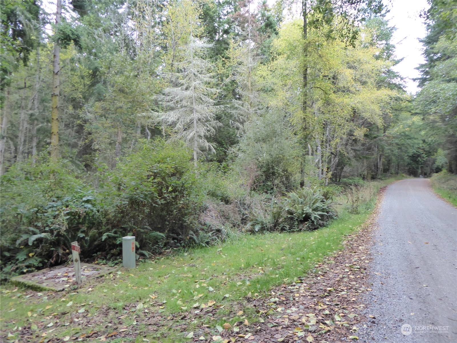 637 Middlepoint Road Port Townsend, WA 98368 - Photo 11 of 17 Gallery Image 11