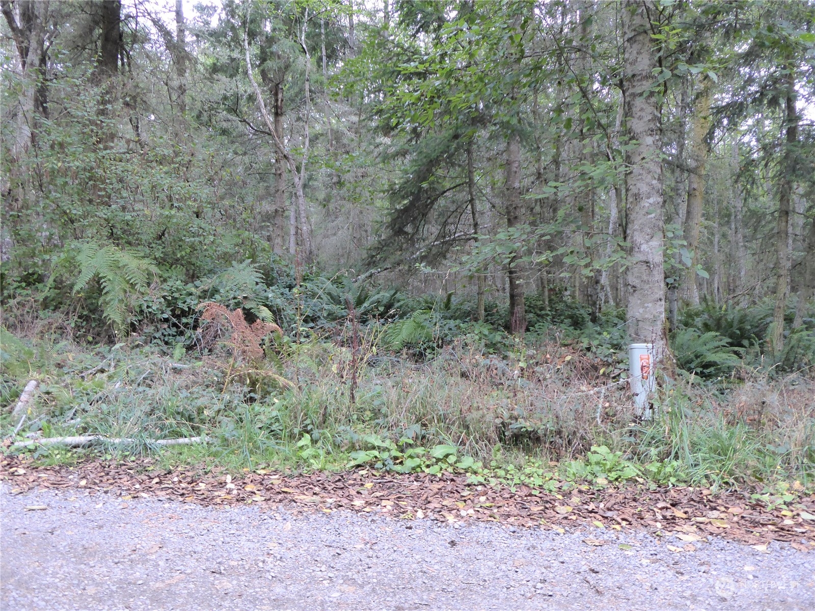 637 Middlepoint Road Port Townsend, WA 98368 - Photo 12 of 17 Gallery Image 12