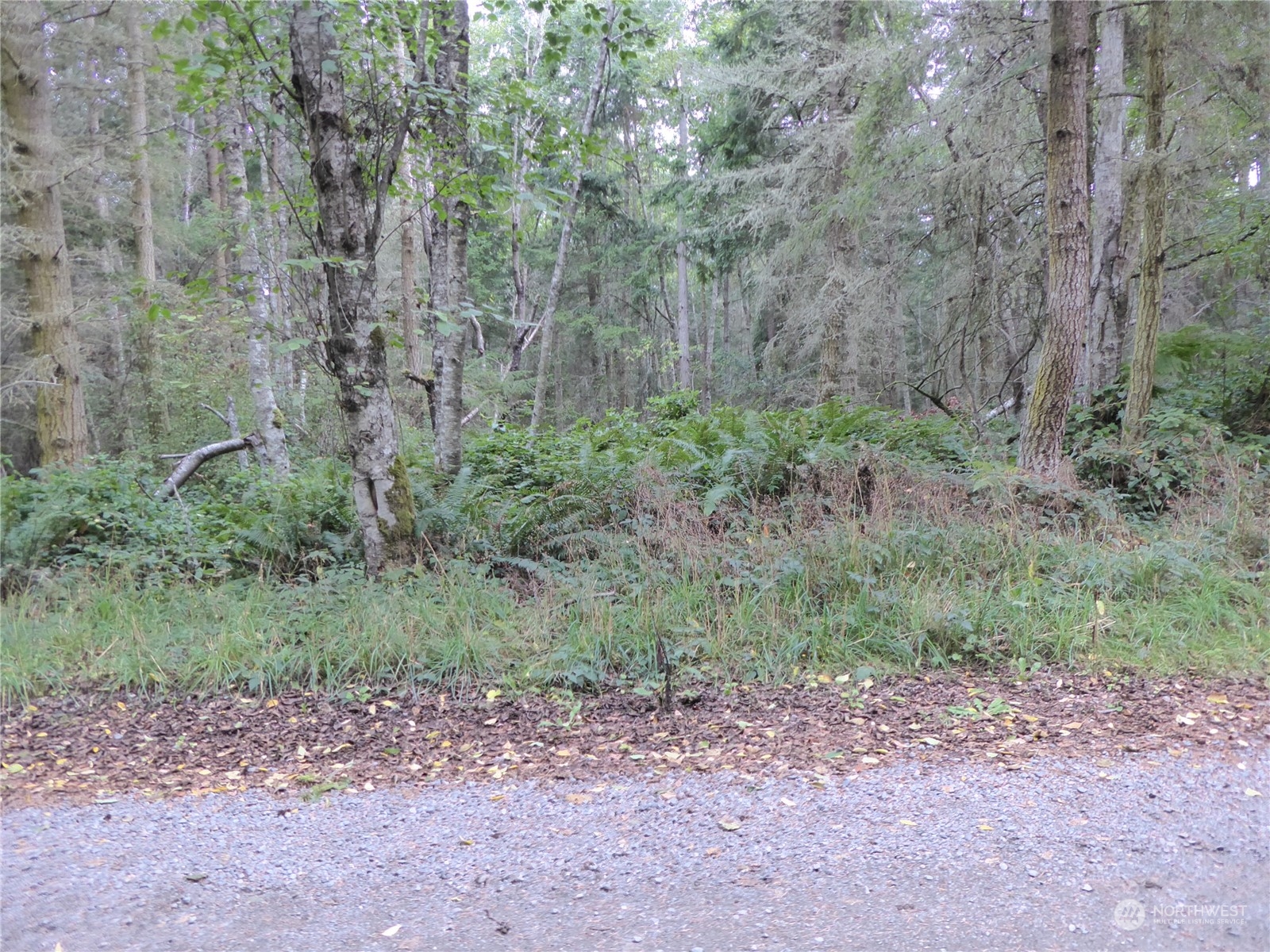 637 Middlepoint Road Port Townsend, WA 98368 - Photo 13 of 17 Gallery Image 13