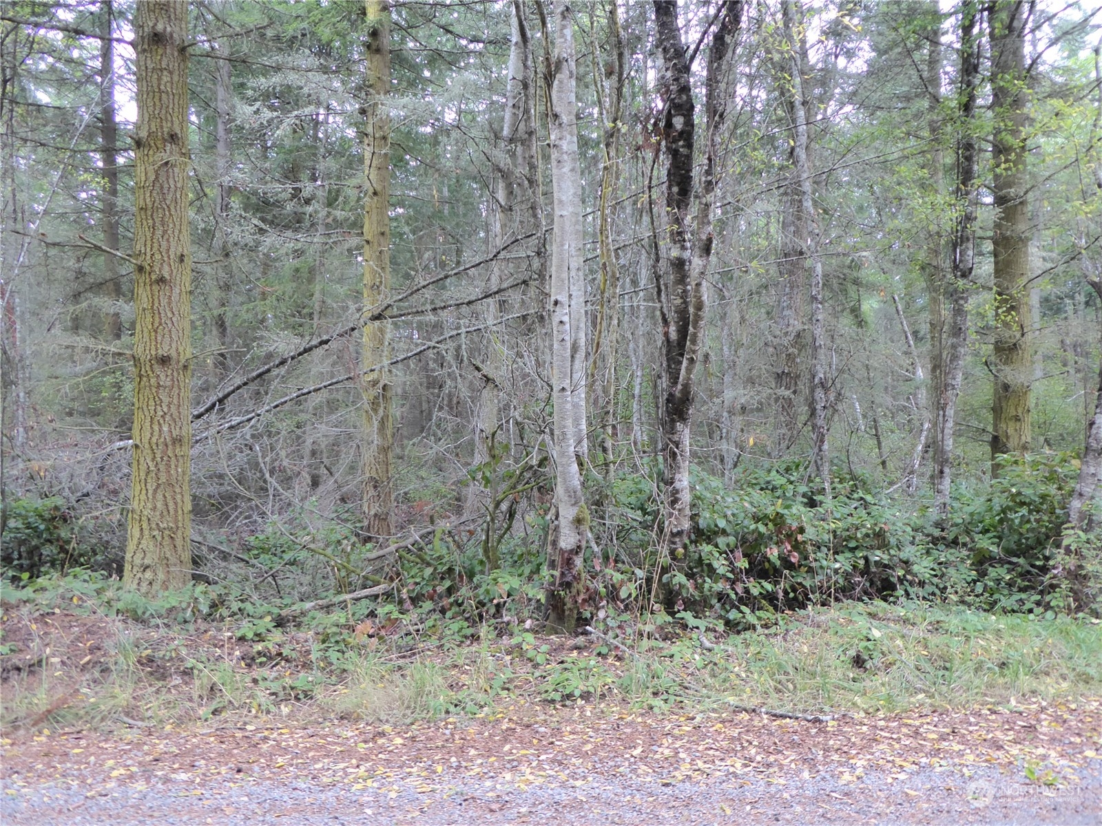 637 Middlepoint Road Port Townsend, WA 98368 - Photo 14 of 17 Gallery Image 14