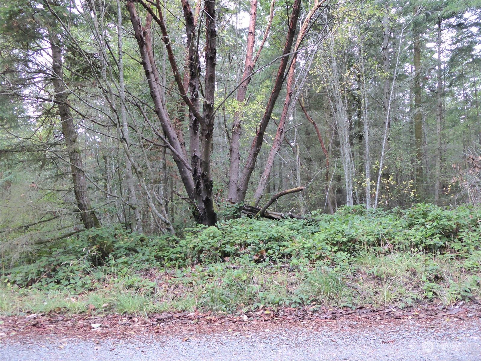 637 Middlepoint Road Port Townsend, WA 98368 - Photo 15 of 17 Gallery Image 15
