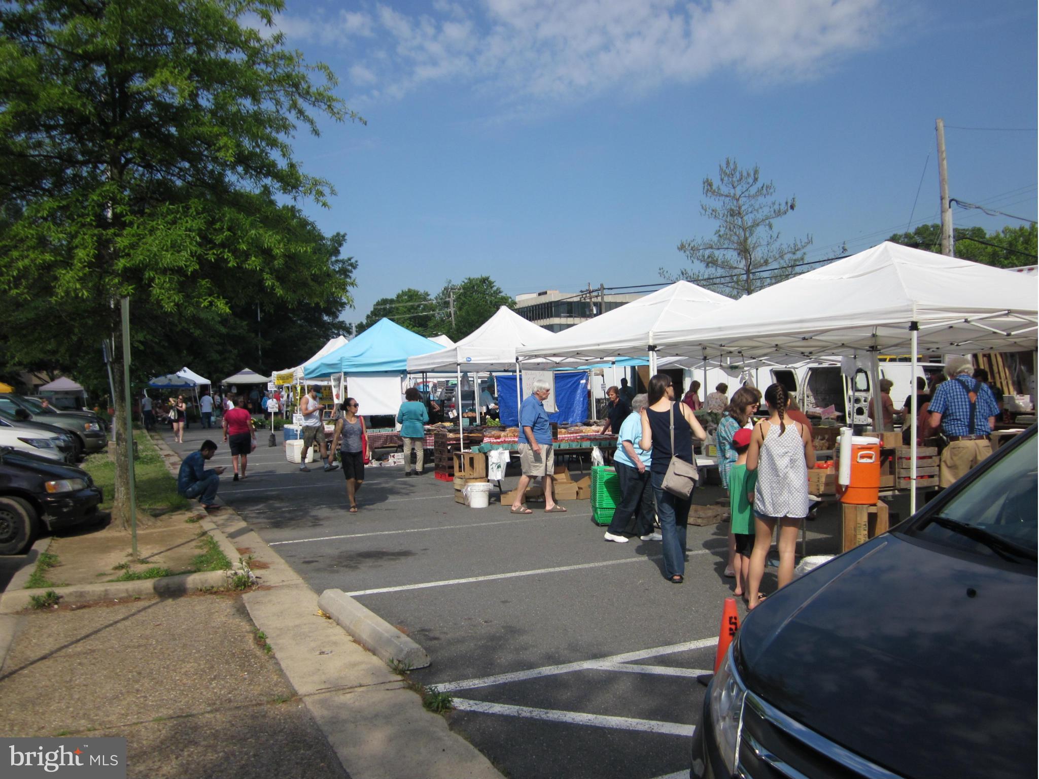 8029 Washington Road Alexandria, VA 22308 - Photo 25 of 27 Farmers' Market at Sherwood Hall Library