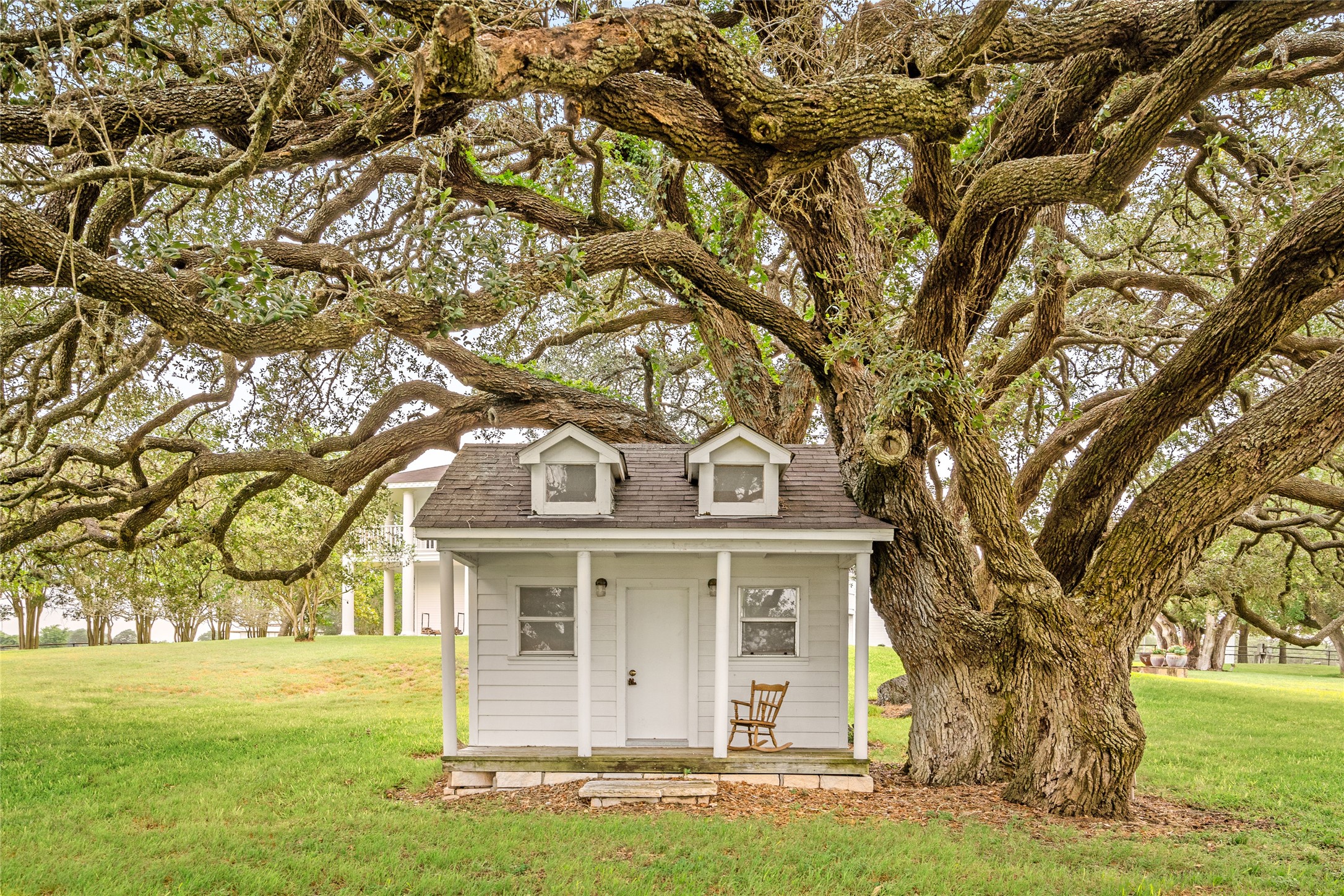 7023 Wolters Road Schulenburg, TX 78956 - Photo 33 of 49 a view of a large trees with a big yard and large tree