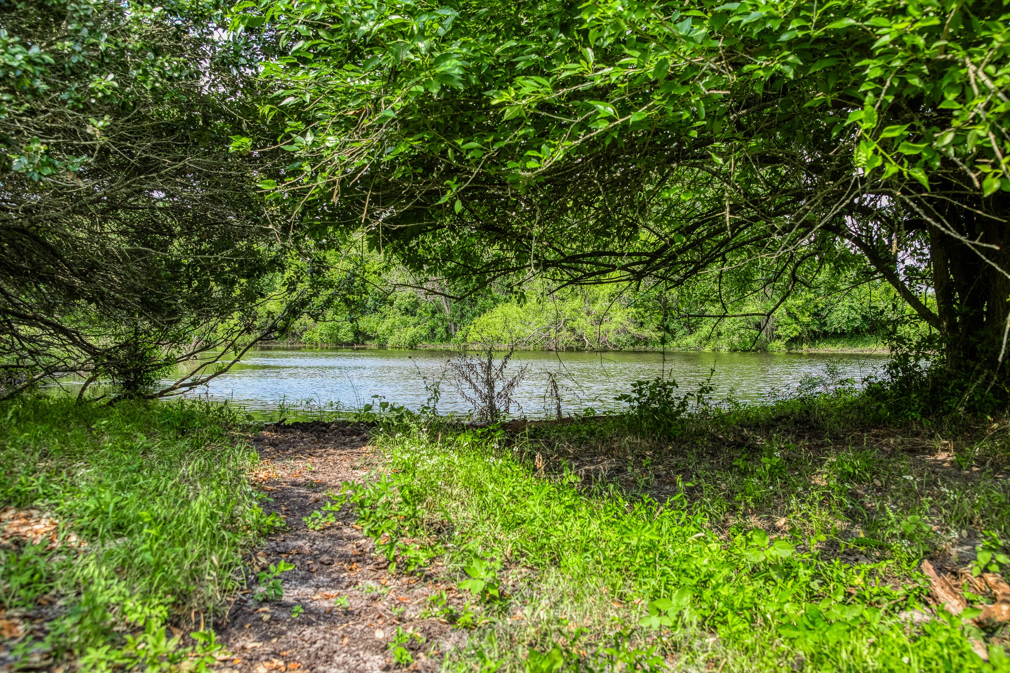 7023 Wolters Road Schulenburg, TX 78956 - Photo 43 of 49 a backyard of a house with lots of green space